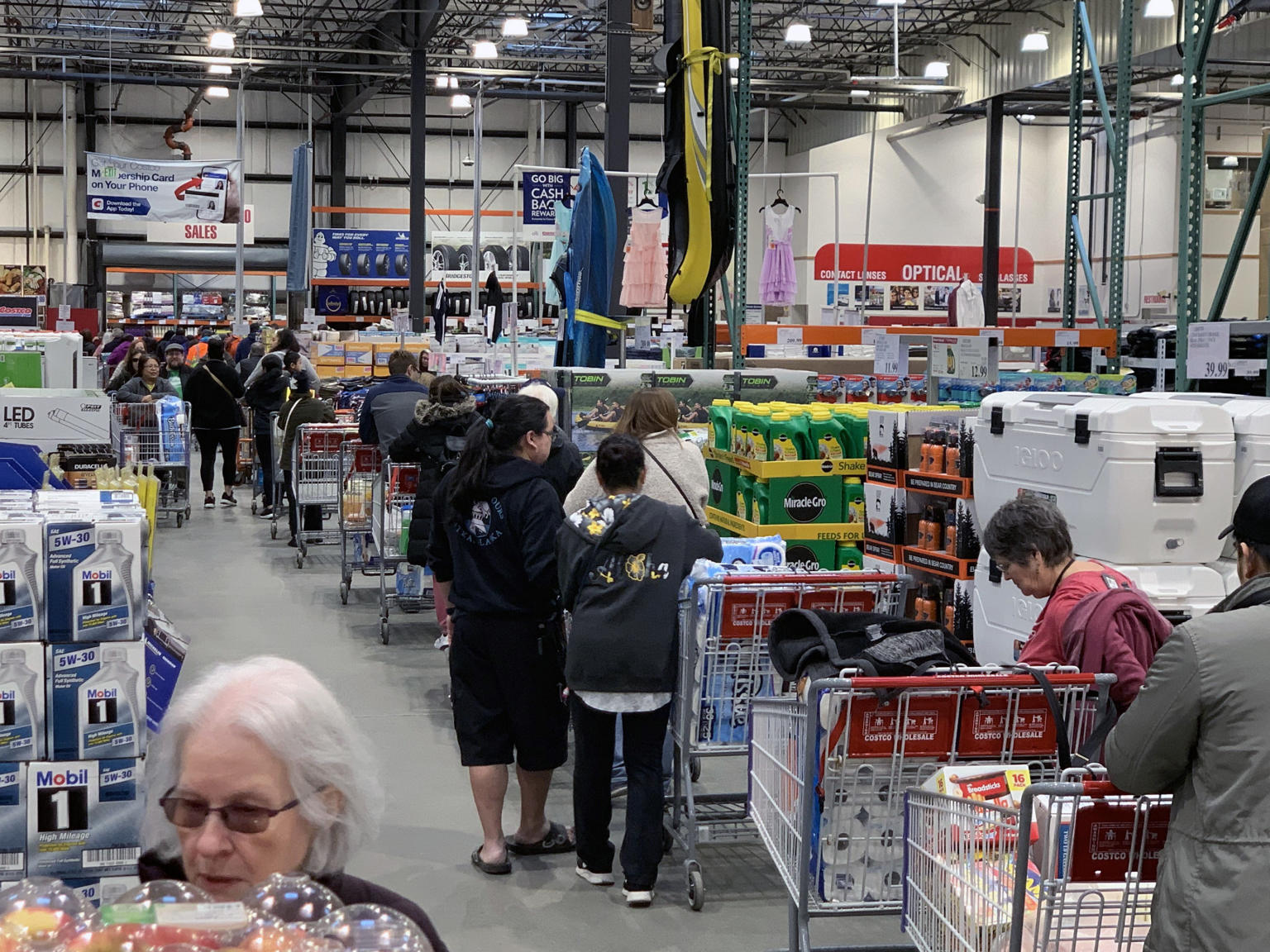 long line of shoppers and carts